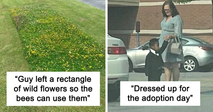 50 Posts From The "Heck This Is Super Wholesome" Group That Only Have Positive Vibes