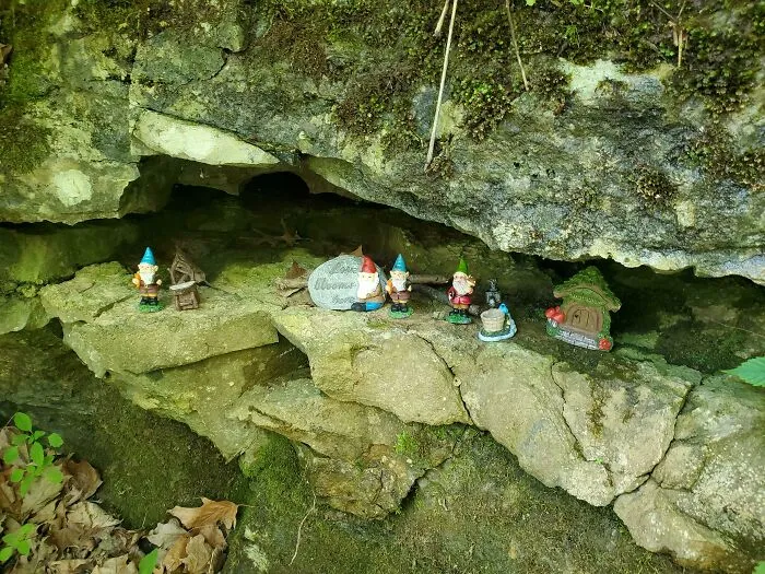 Spotted On A Walk In Kentucky