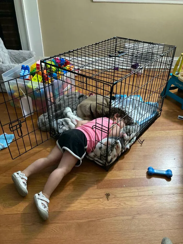 Adoptamos a nuestro primer cachorro de la familia. Encontré a mi hija de 2 años y a mi cachorro así el primer día - Creo que hemos encontrado un ganador