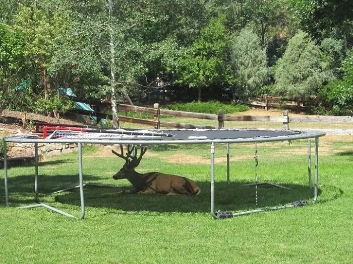 It's Hot Today In Colorado