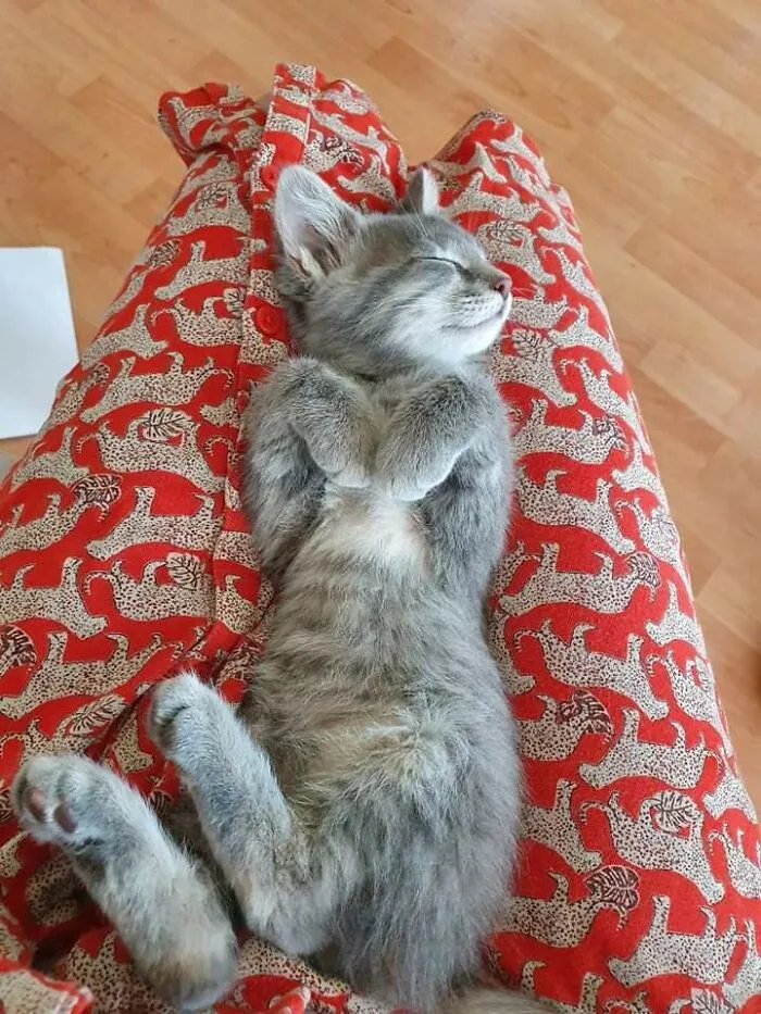 Adopted This Girl 2 Days Ago And She's Already Showing Her Curls
