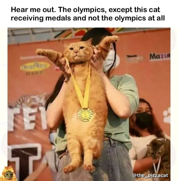 45 Of Funniest Olympic Memes From The Tokyo Games