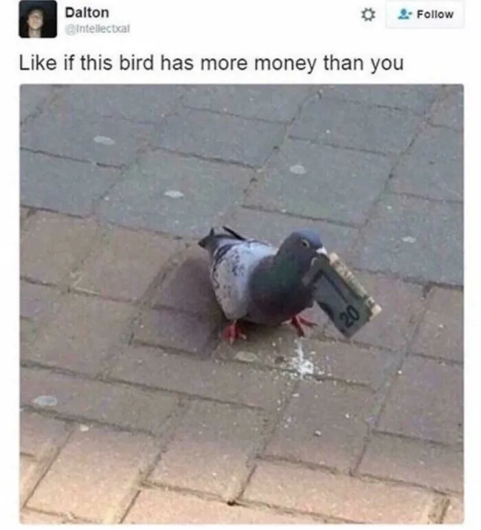 And It Also Doesn't Have Debt