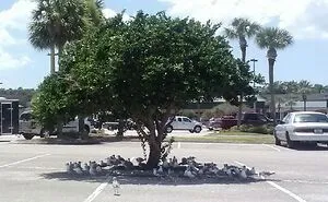 47 Pics That Show The Consequences Of Summer Heatwaves