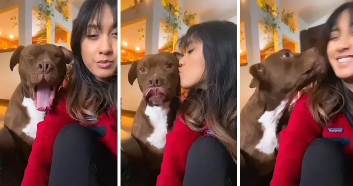 Estos dueños observaron las reacciones de sus mascotas tras darles un beso inesperado (45 fotos)
