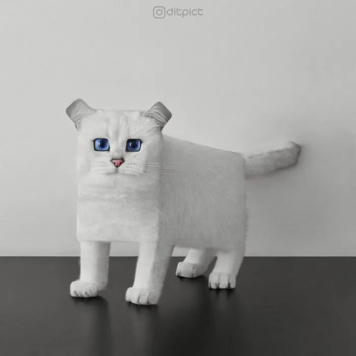 Artist Changes Animals To Be Shaped Like Cubes (24 New Pics)