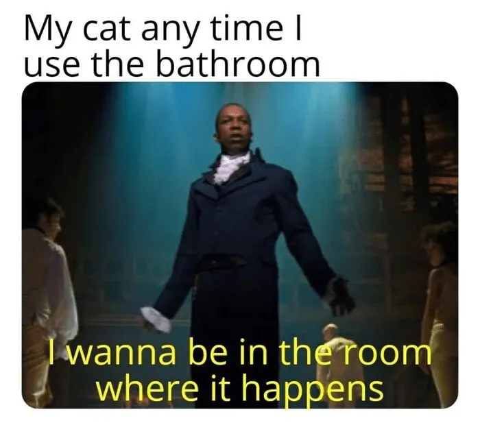 Where’s My “Get Out Of Jail Free” Card?
