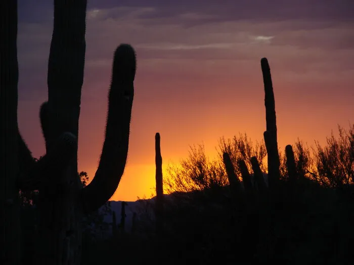 El atardecer desde mi patio, siempre es precioso