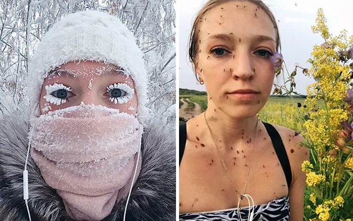 Las estaciones en Siberia. Heladas y mosquitos