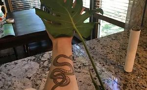 Hey Plant Parents, Show Us Your Favorite Plant (Closed)