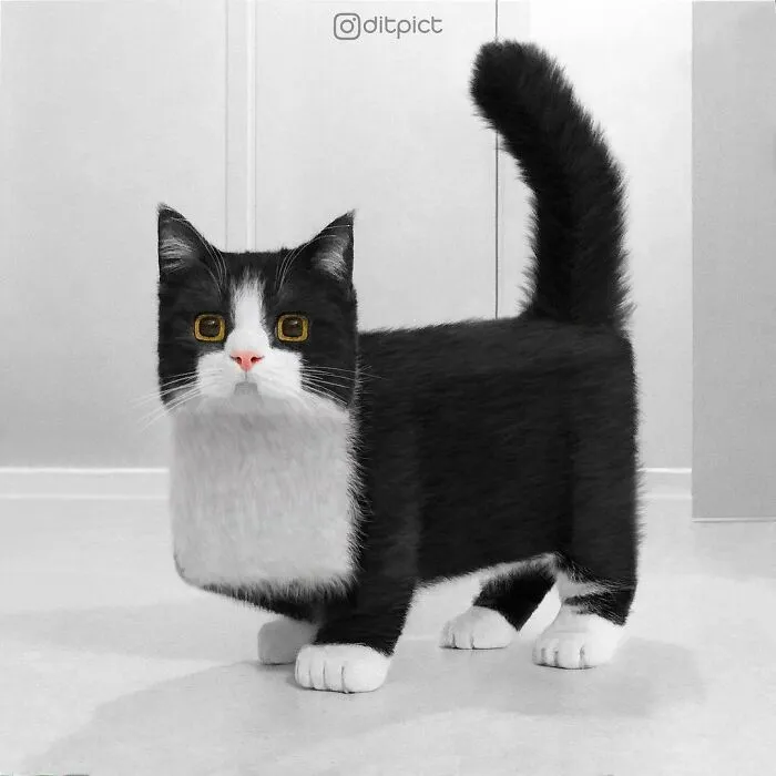 Artist Changes Animals To Be Shaped Like Cubes (24 New Pics)