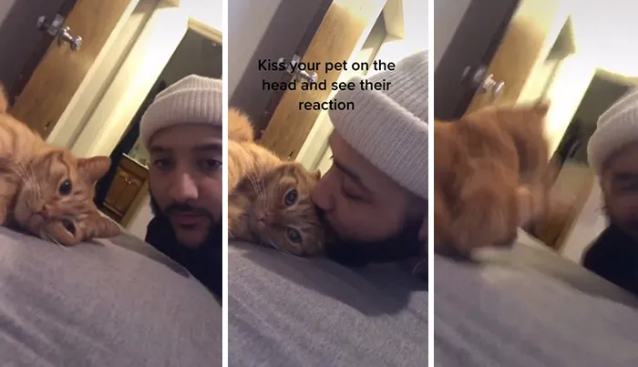 Estos dueños observaron las reacciones de sus mascotas tras darles un beso inesperado (45 fotos)