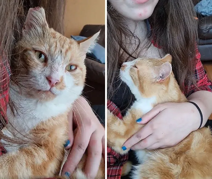 El centro de rescate dijo que nadie lo quiere porque es VIF+ y que está desesperado por un hogar porque le encanta la gente. Lo adopté hoy y creo que es feliz