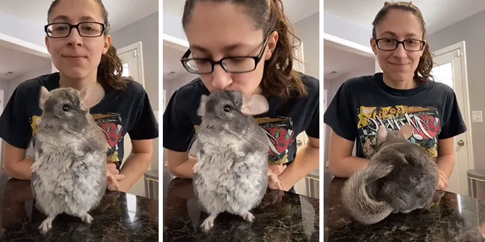 Owners Wanted To See The Reactions Of Their Pets After They Get Unexpected Kisses (45 Pics)