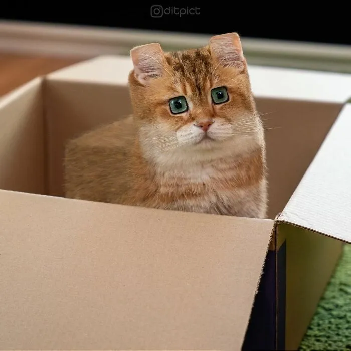 Artist Changes Animals To Be Shaped Like Cubes (24 New Pics)