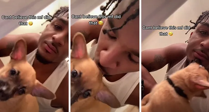 Owners Wanted To See The Reactions Of Their Pets After They Get Unexpected Kisses (45 Pics)