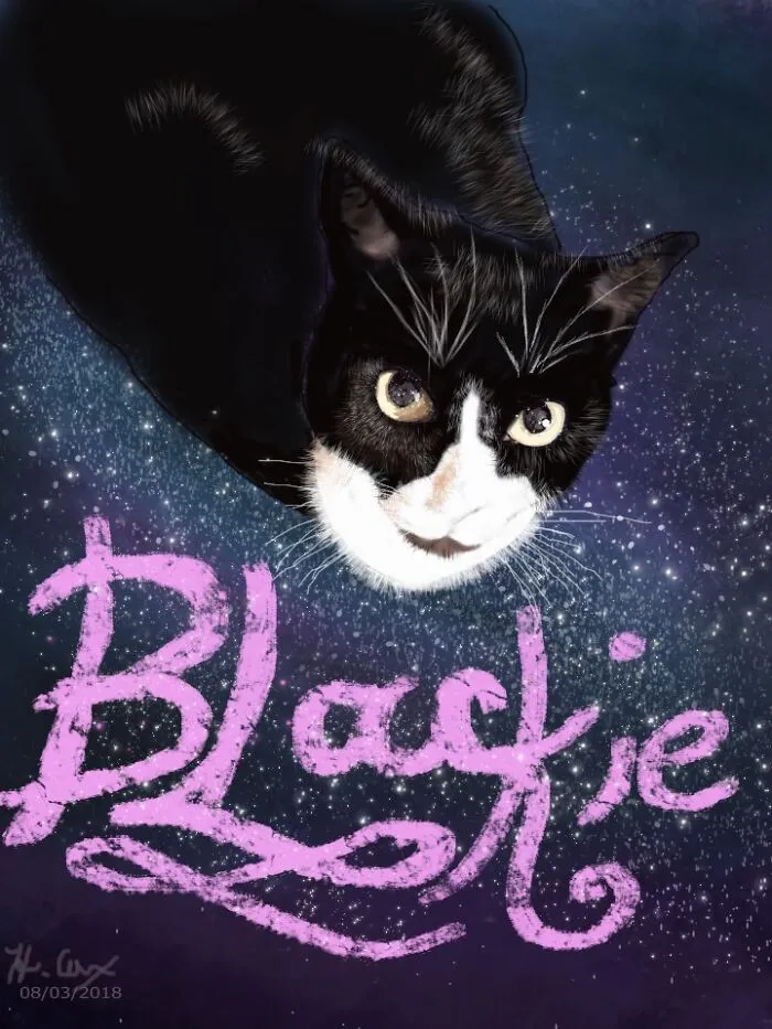 My BF's Cat, Black Jack ( Blackie)