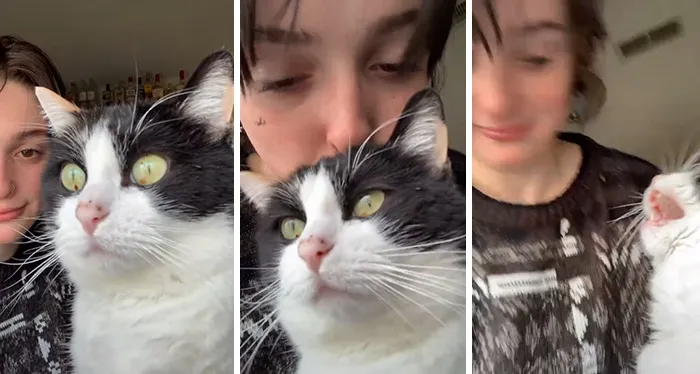 Estos dueños observaron las reacciones de sus mascotas tras darles un beso inesperado (45 fotos)