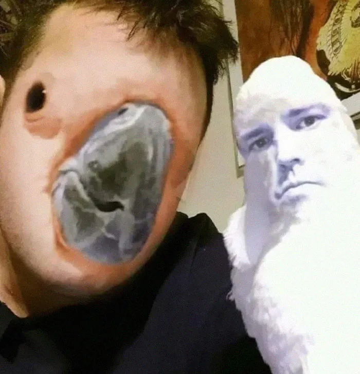 25 De los mejores memes de pájaros publicados en Internet