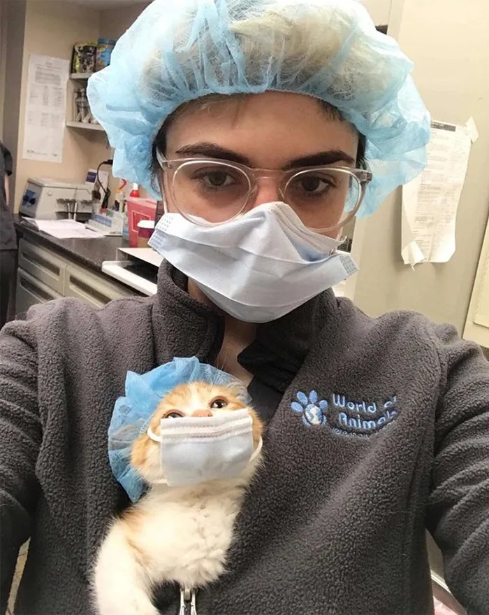 Vet's New Assistant
