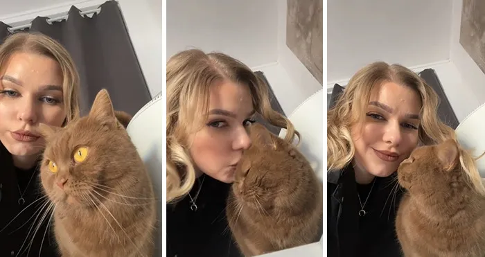 Owners Wanted To See The Reactions Of Their Pets After They Get Unexpected Kisses (45 Pics)