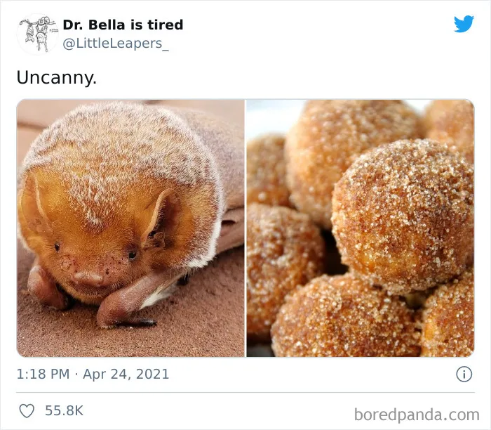 Forbidden Cinnamon Sugar Donut Hole