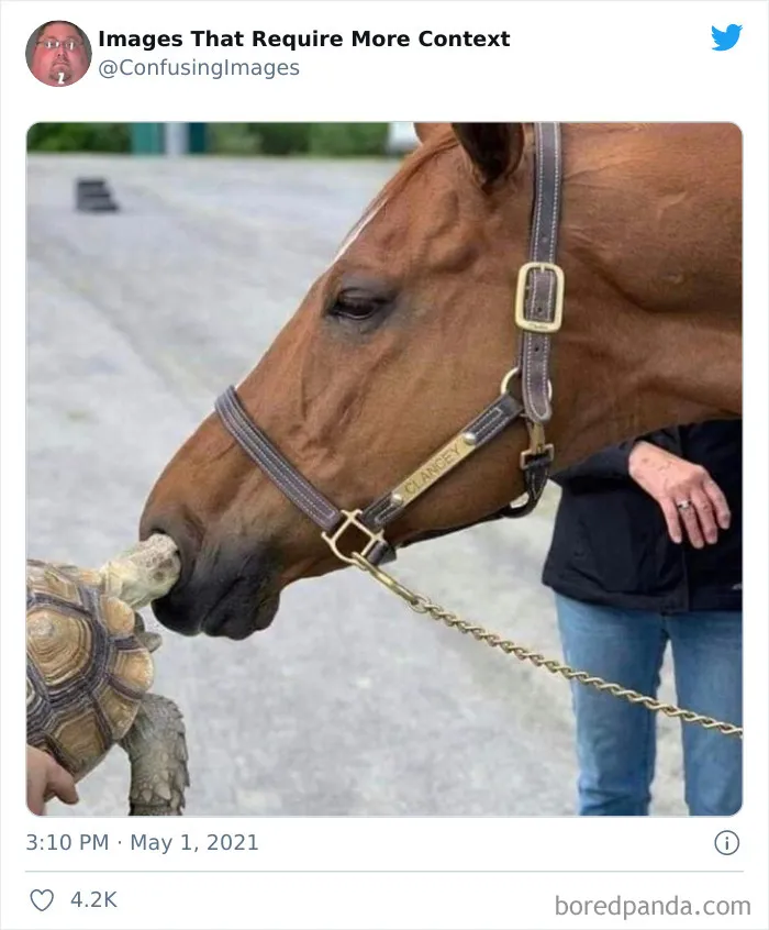 30 Funny And Confusing Pics Posted By The "Images That Require More Context" Twitter Page