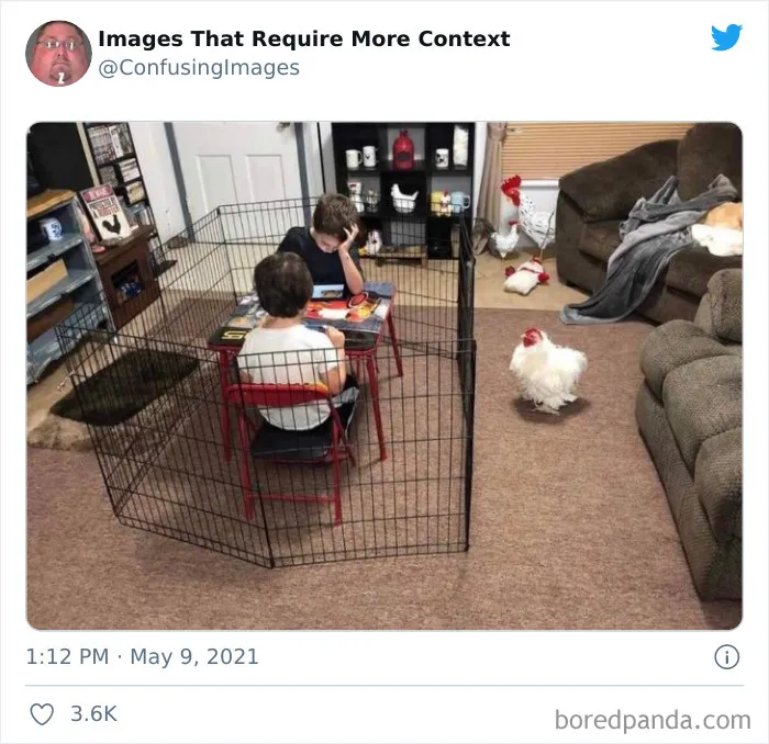 25 Divertidas y confusas fotos de la cuenta de Twitter “Imágenes que requieren más contexto”