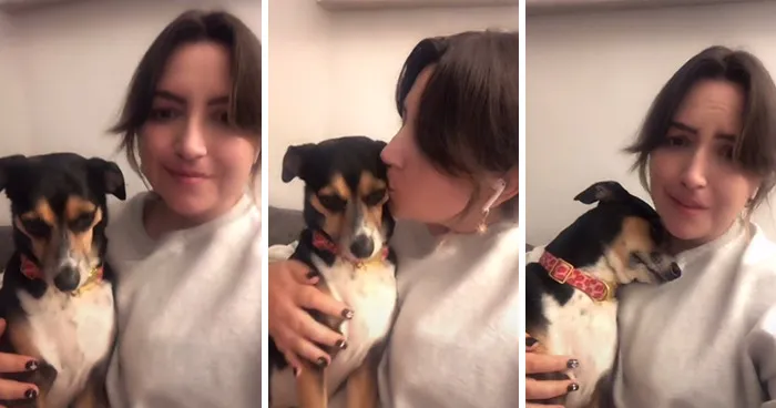 Estos dueños observaron las reacciones de sus mascotas tras darles un beso inesperado (45 fotos)