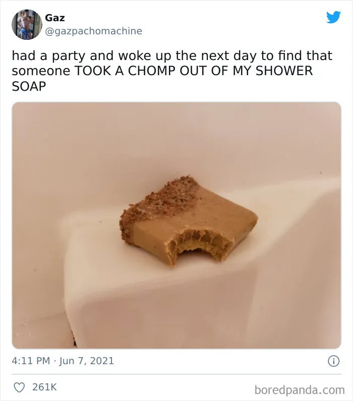 Okay, Who Took A Bite Out Of The Forbidden Peanut Butter Brownie?