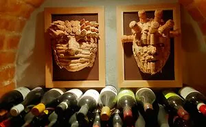 Saving Old Wine Corks From Oblivion