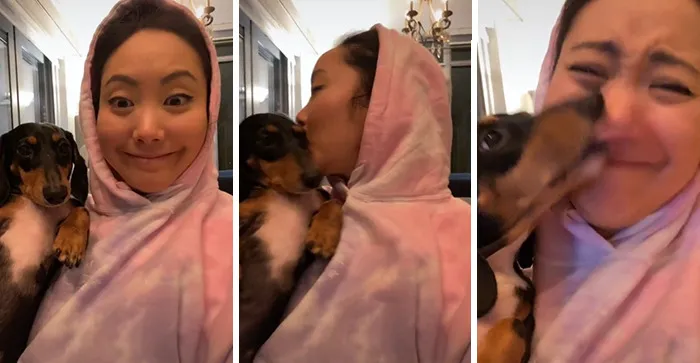 Estos dueños observaron las reacciones de sus mascotas tras darles un beso inesperado (45 fotos)