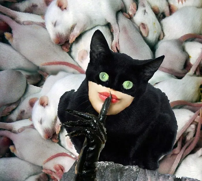 Here Are 50 Crazy Photo Collages By Turkish Artist