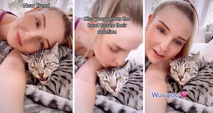 Owners Wanted To See The Reactions Of Their Pets After They Get Unexpected Kisses (45 Pics)