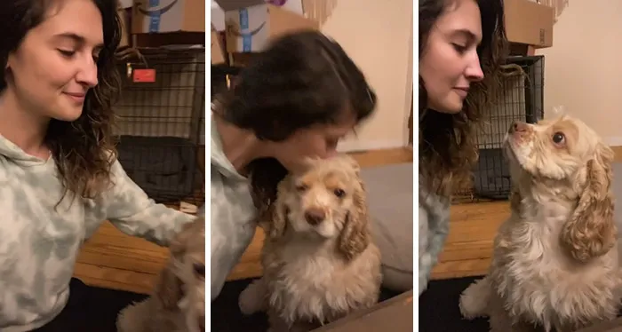 Owners Wanted To See The Reactions Of Their Pets After They Get Unexpected Kisses (45 Pics)