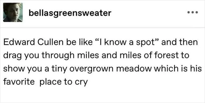 People Are Re-Watching The 'Twilight Saga' And Realizing How Crazy It Was, Here're 40 Hilarious Memes About It