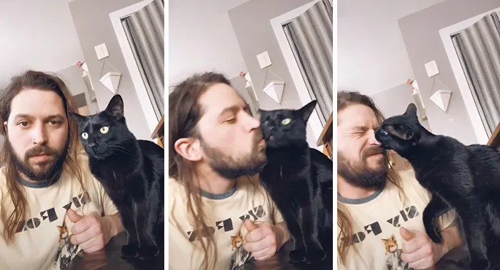 Estos dueños observaron las reacciones de sus mascotas tras darles un beso inesperado (45 fotos)
