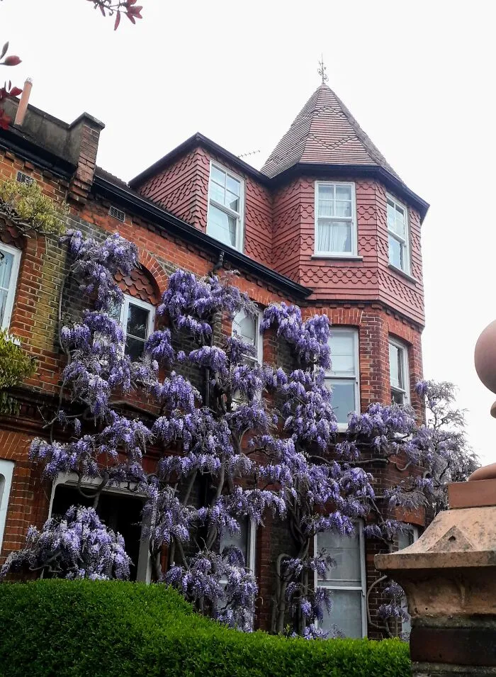I Love This House