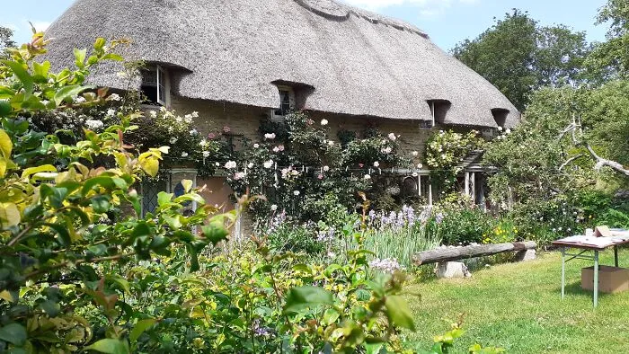 The Prettiest House In My Village