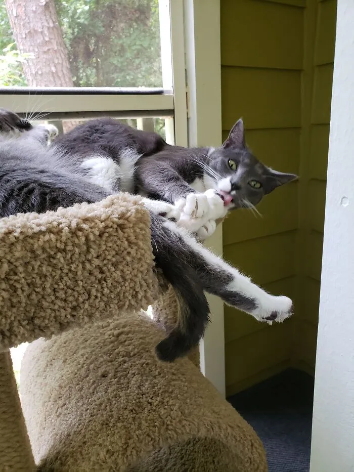 Does This Tickle?