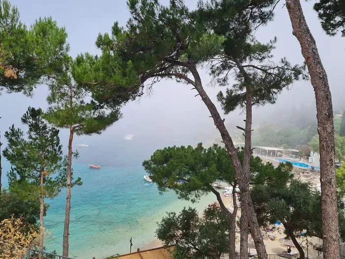Mañana con niebla