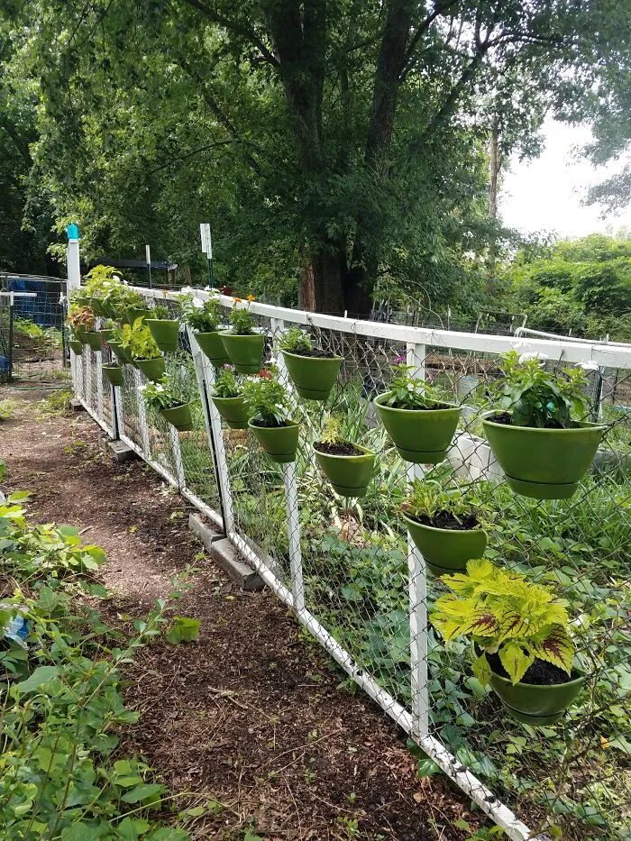 I Kept Seeing Puctures Of Verticle Gardens. So When A Friend Offered Me These Planters, I Jumped On It!