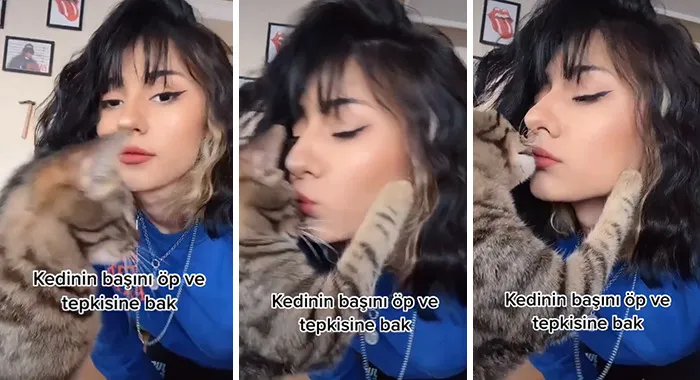 Owners Wanted To See The Reactions Of Their Pets After They Get Unexpected Kisses (45 Pics)