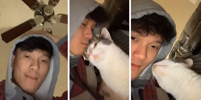 Owners Wanted To See The Reactions Of Their Pets After They Get Unexpected Kisses (45 Pics)