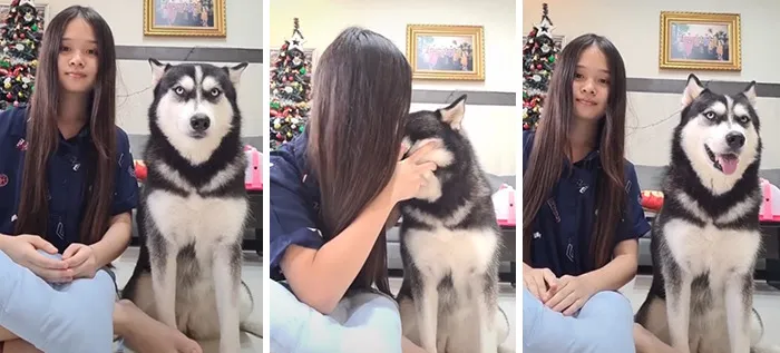 Owners Wanted To See The Reactions Of Their Pets After They Get Unexpected Kisses (45 Pics)