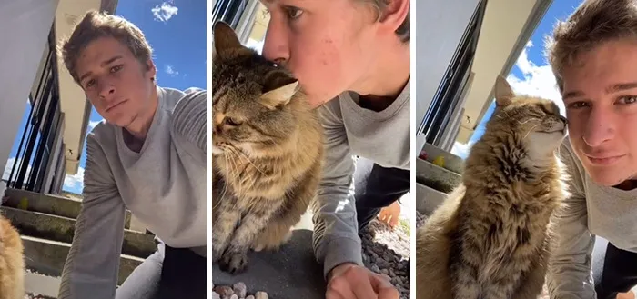 Owners Wanted To See The Reactions Of Their Pets After They Get Unexpected Kisses (45 Pics)