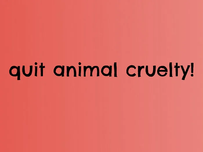 A Lot Of Very Popular Makeup , Cleaning Supplies, And Shampoo Are Actually Tested On Animals
