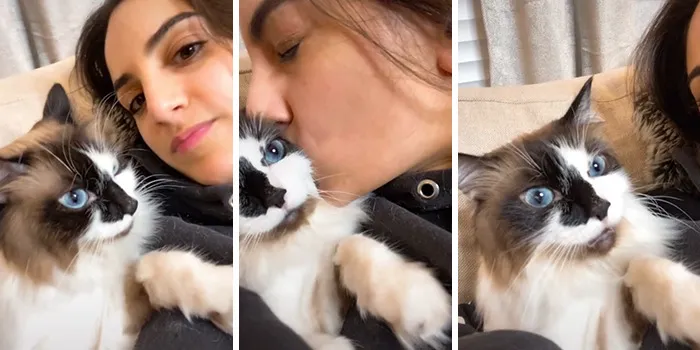 Owners Wanted To See The Reactions Of Their Pets After They Get Unexpected Kisses (45 Pics)