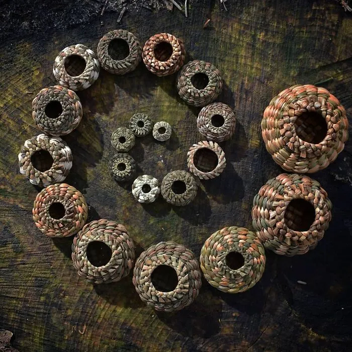 Self-Taught Artist Transforms Leaves And Weeds Into 30 Mini Hand-Woven Baskets
