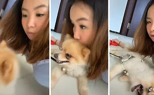 Owners Wanted To See The Reactions Of Their Pets After They Get Unexpected Kisses (45 Pics)